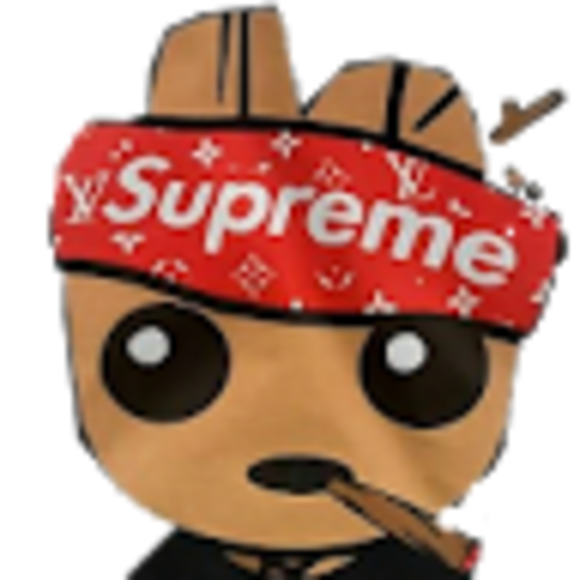 josetvp212